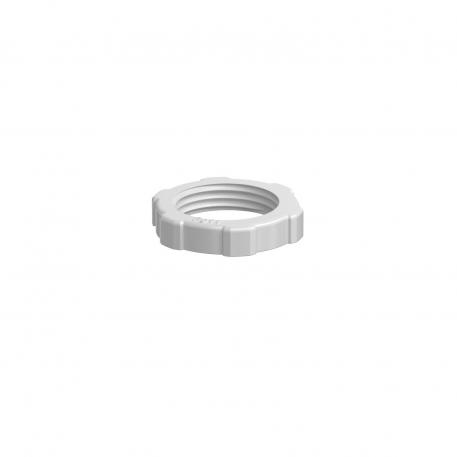 Contratuerca, rosca PG, gris claro Pg_11 | 24