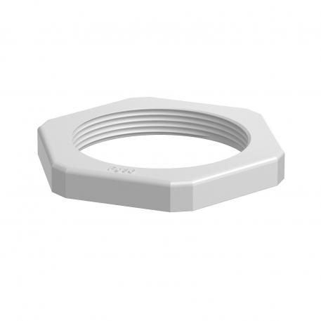 Contratuerca, rosca PG, gris claro Pg_36 | 60