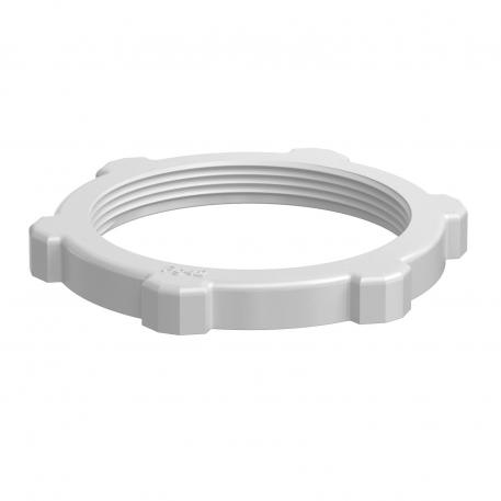Contratuerca, rosca PG, gris claro Pg_42 | 65