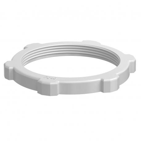 Contratuerca, rosca PG, gris claro Pg_48 | 70