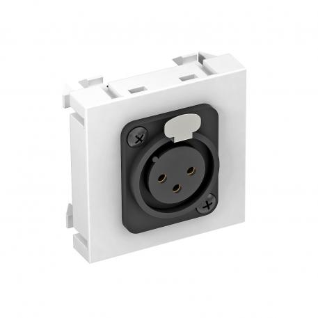 Toma XLR, módulo 1, salida recta, conector de 3 polos, conexión por tornillo, blanco puro  |  | XLR | blanco puro; RAL 9010